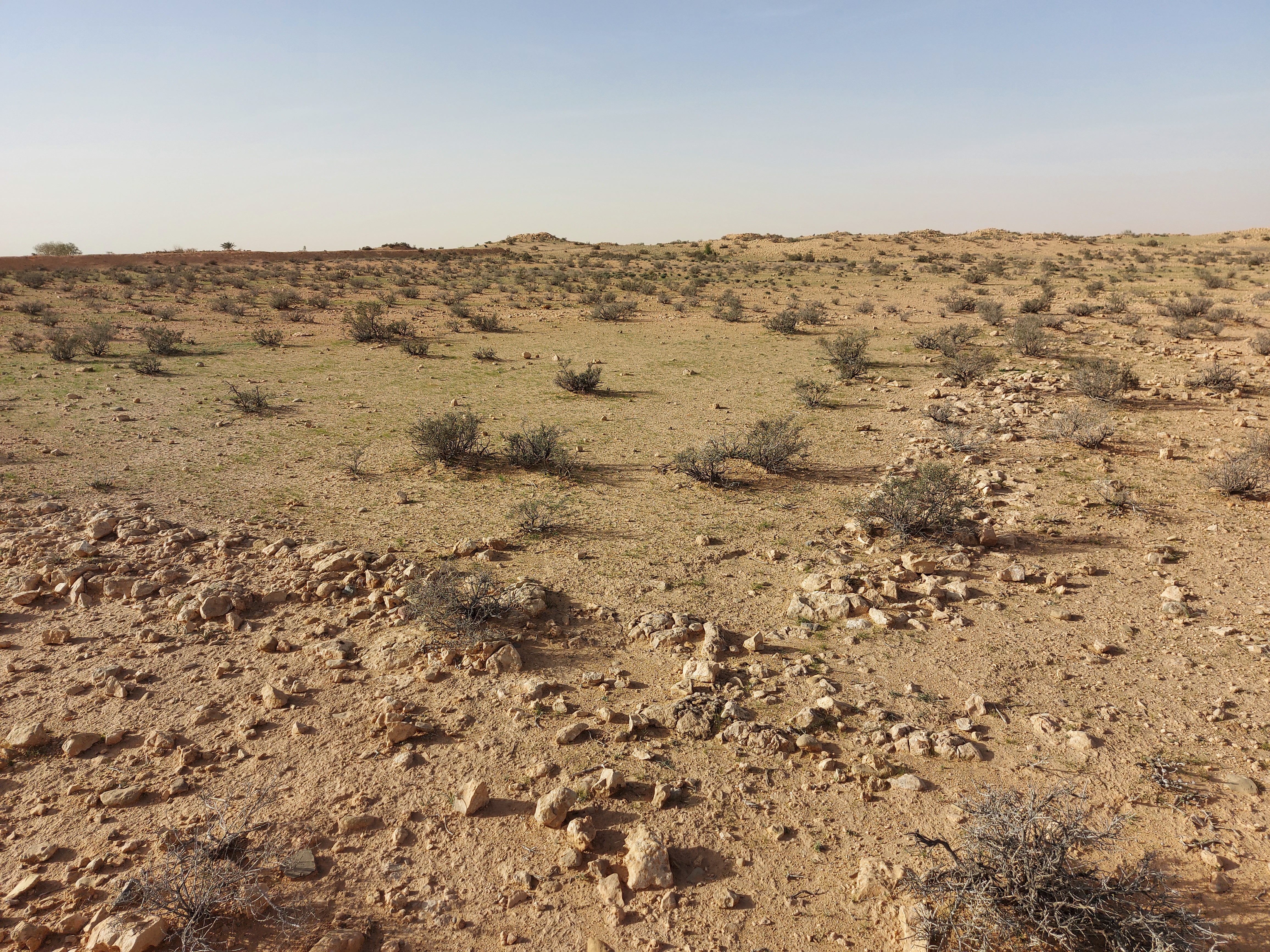 Fesagui image 3